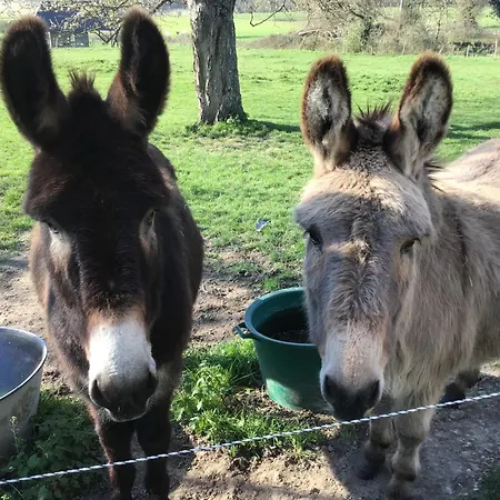Des Tournesols Feriehus